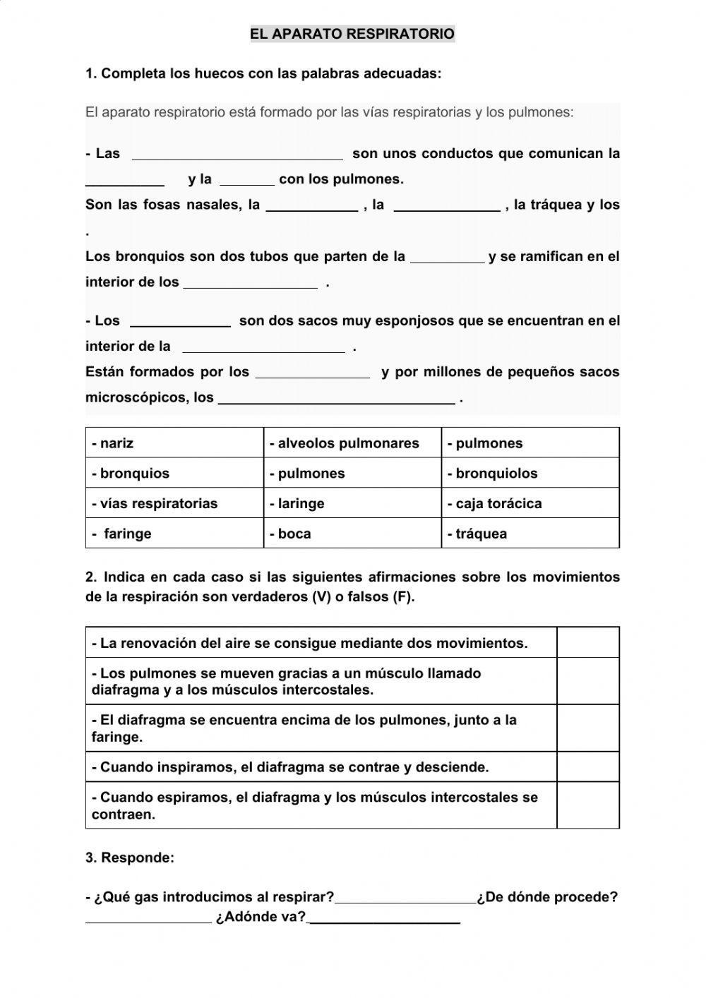 Aparato respiratorio