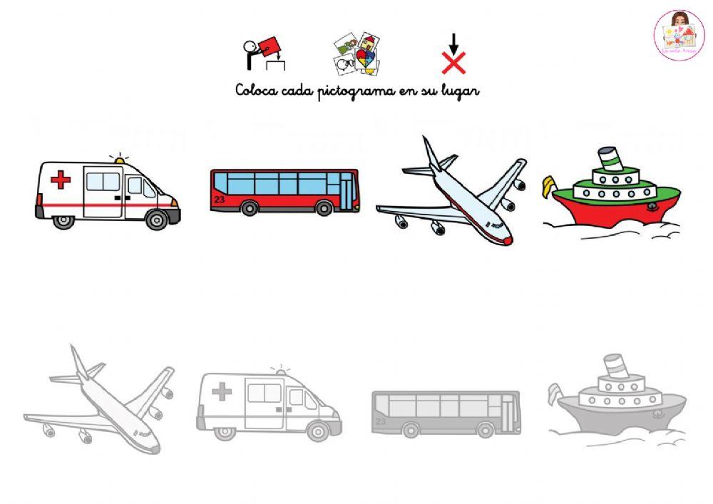 Coloca cada transporte en su sombra.