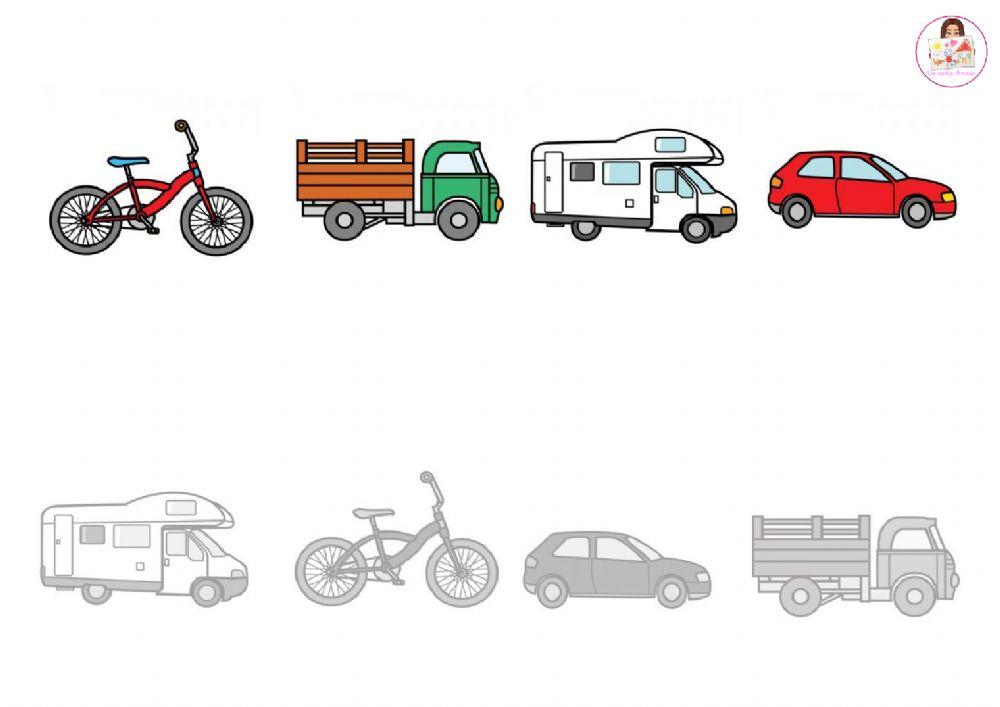 Coloca cada transporte en su sombra.