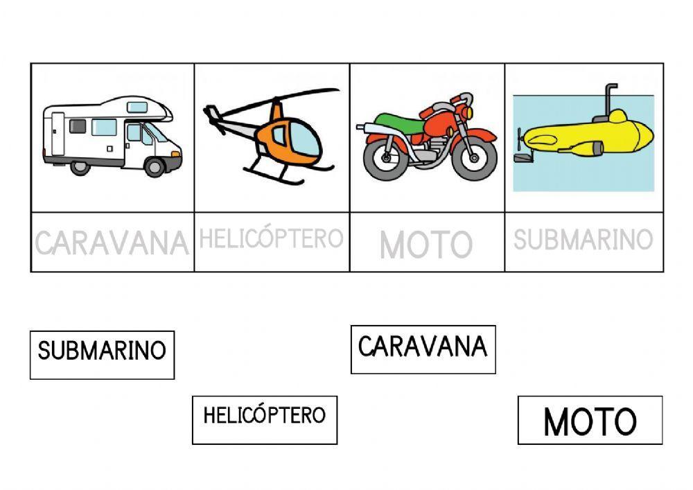 Lectura glogal con modelo Transportes