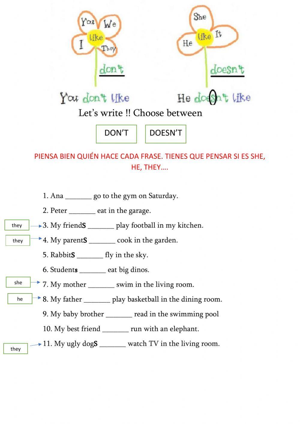 Present simple, negative