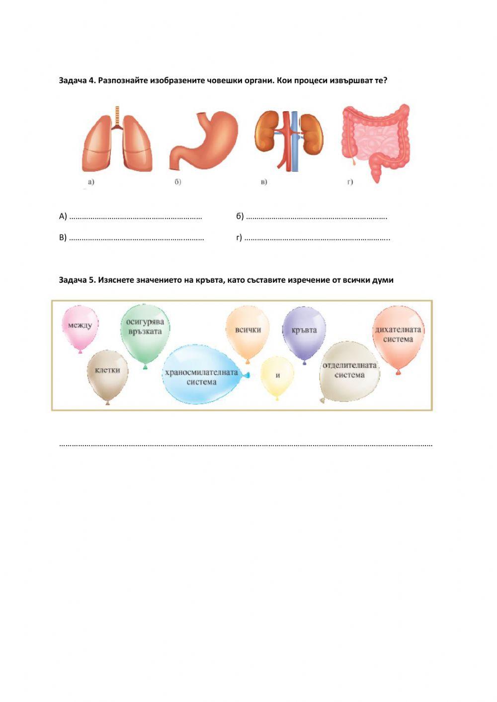 Хранене, дишане, отделяне - обобщение