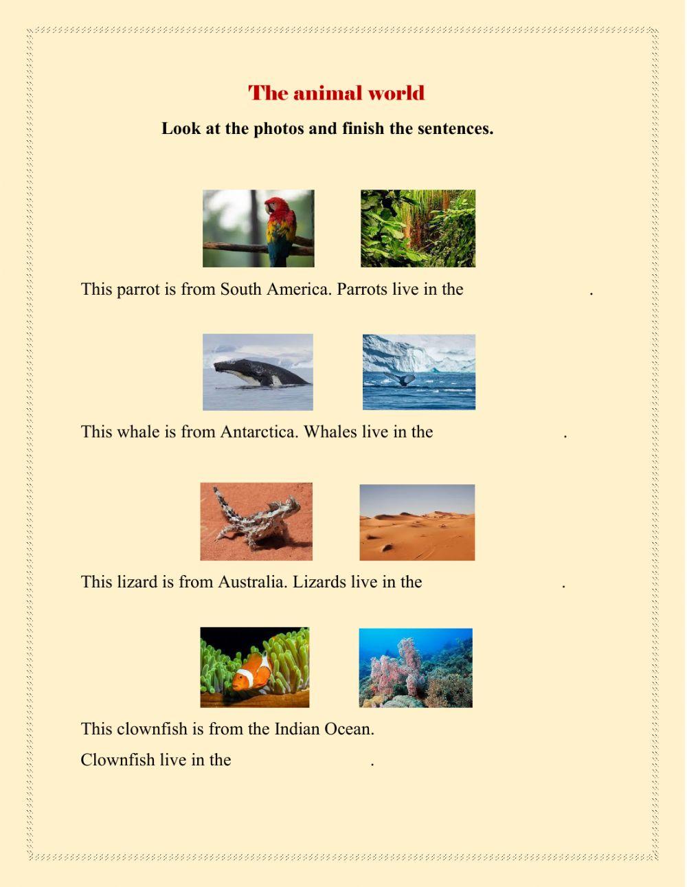 Animals and their habitats