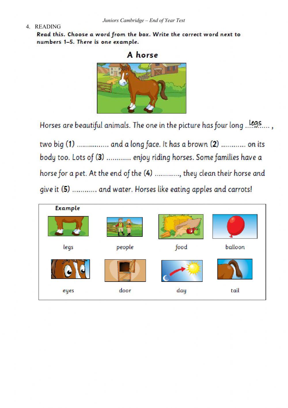 Juniors Cambridge - End of Year Test