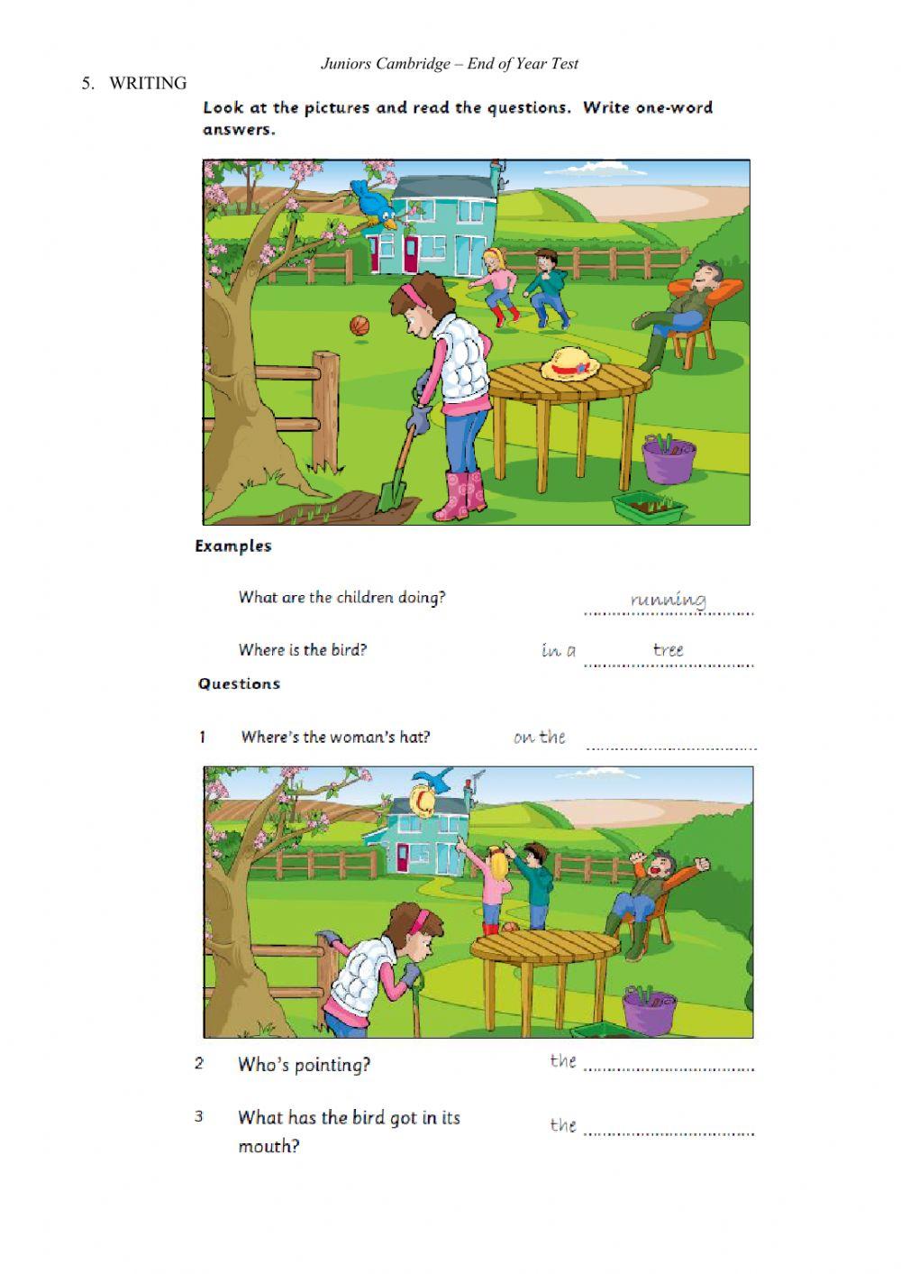 Juniors Cambridge - End of Year Test