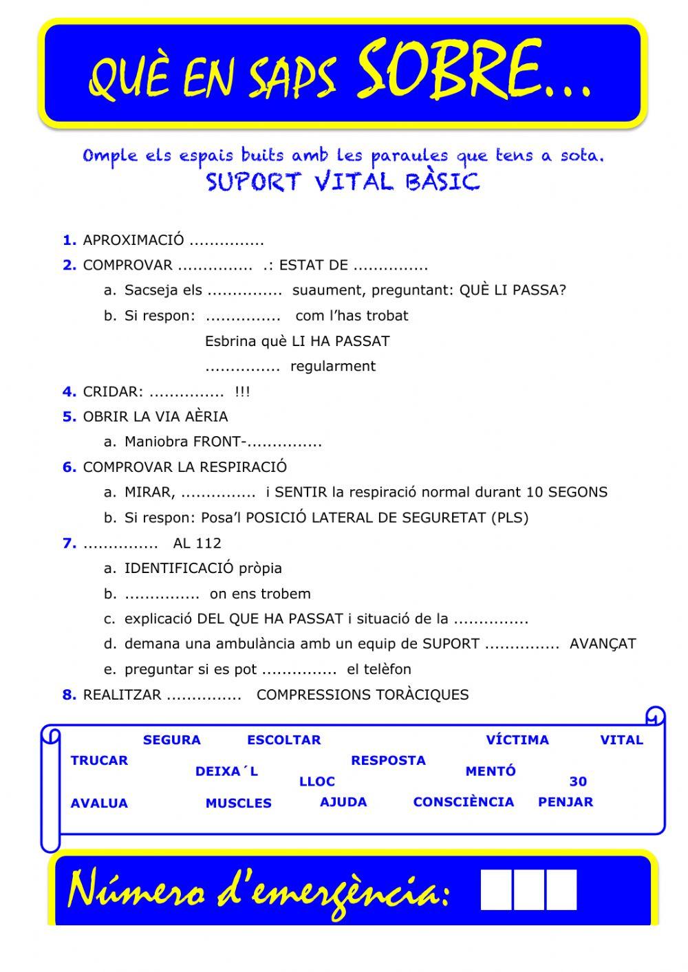 Que saps sobre... SVB-CS 04