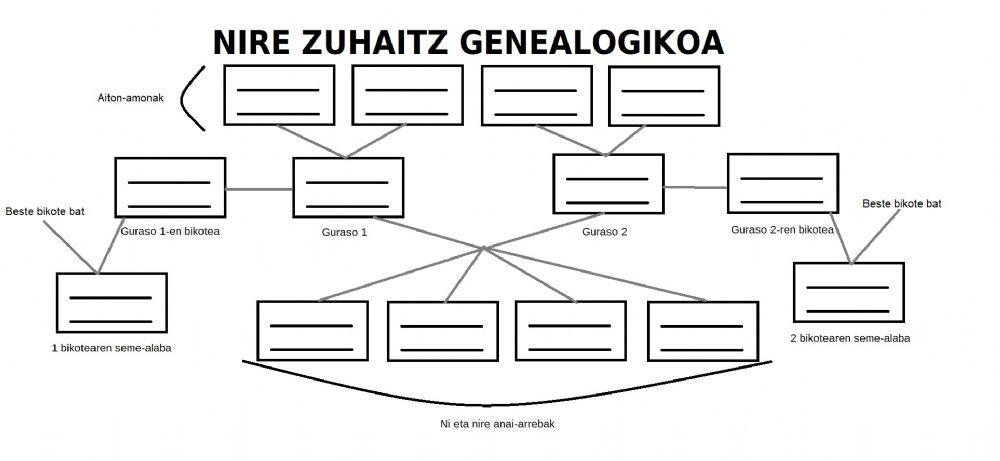 Zuhaitz genealogikoa