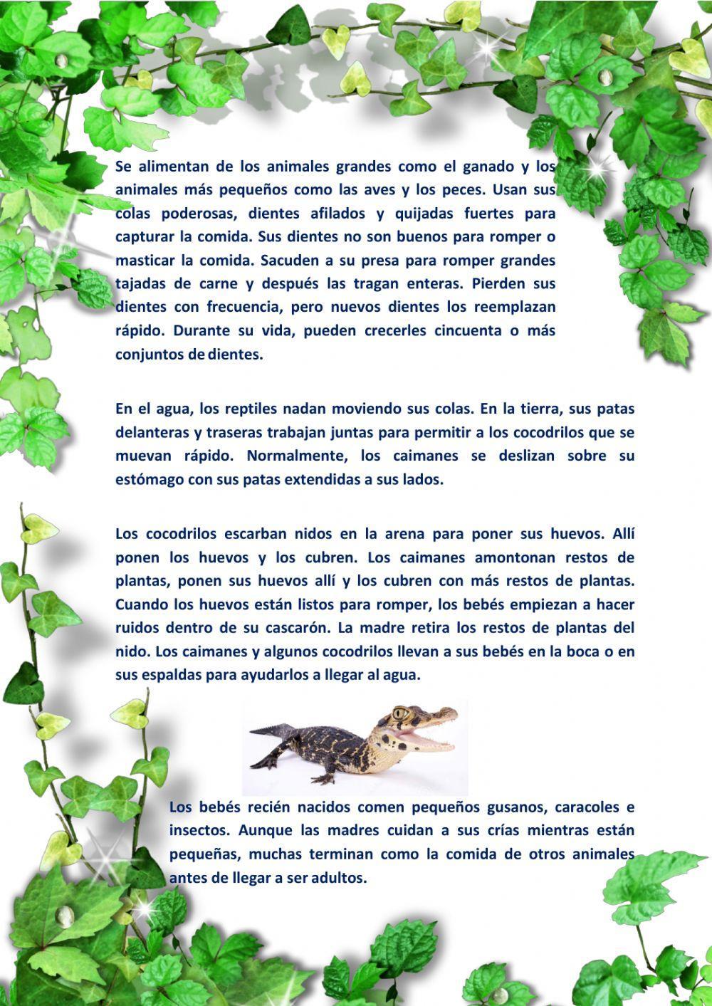 Cocodrilos y caimanes