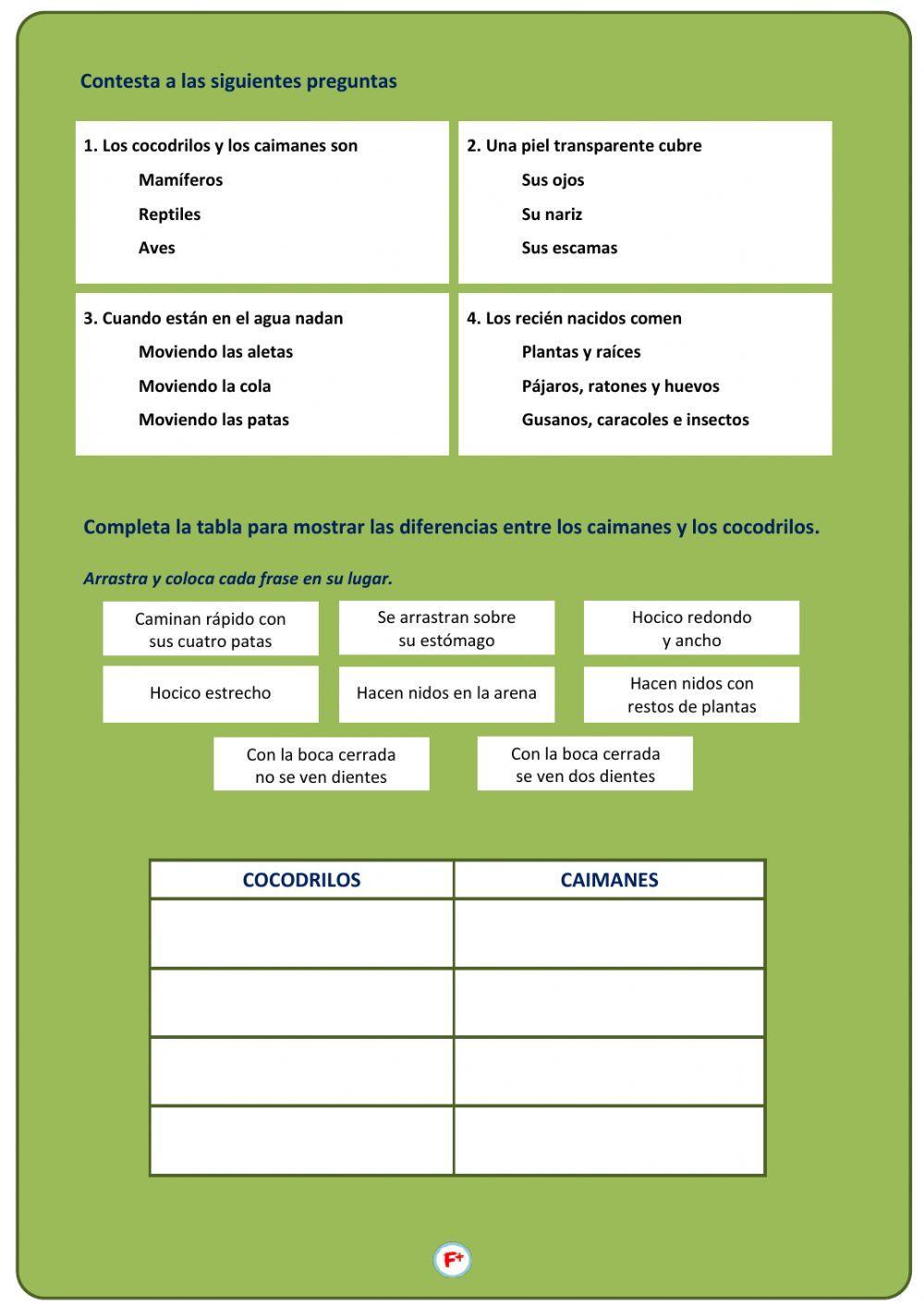 Cocodrilos y caimanes