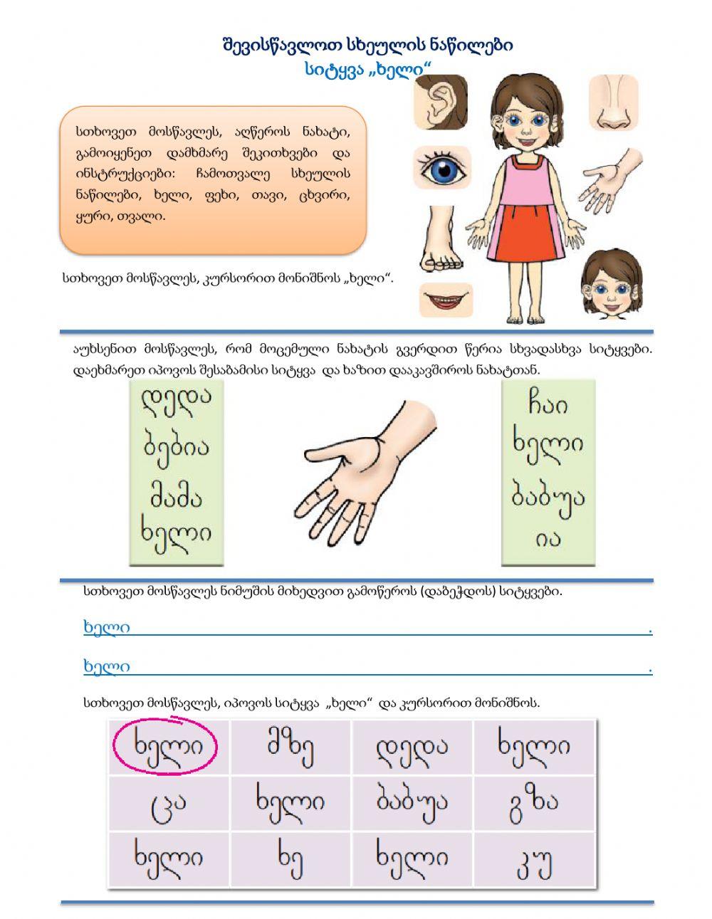 Შევისწავლოთ სხეულის ნაწილები