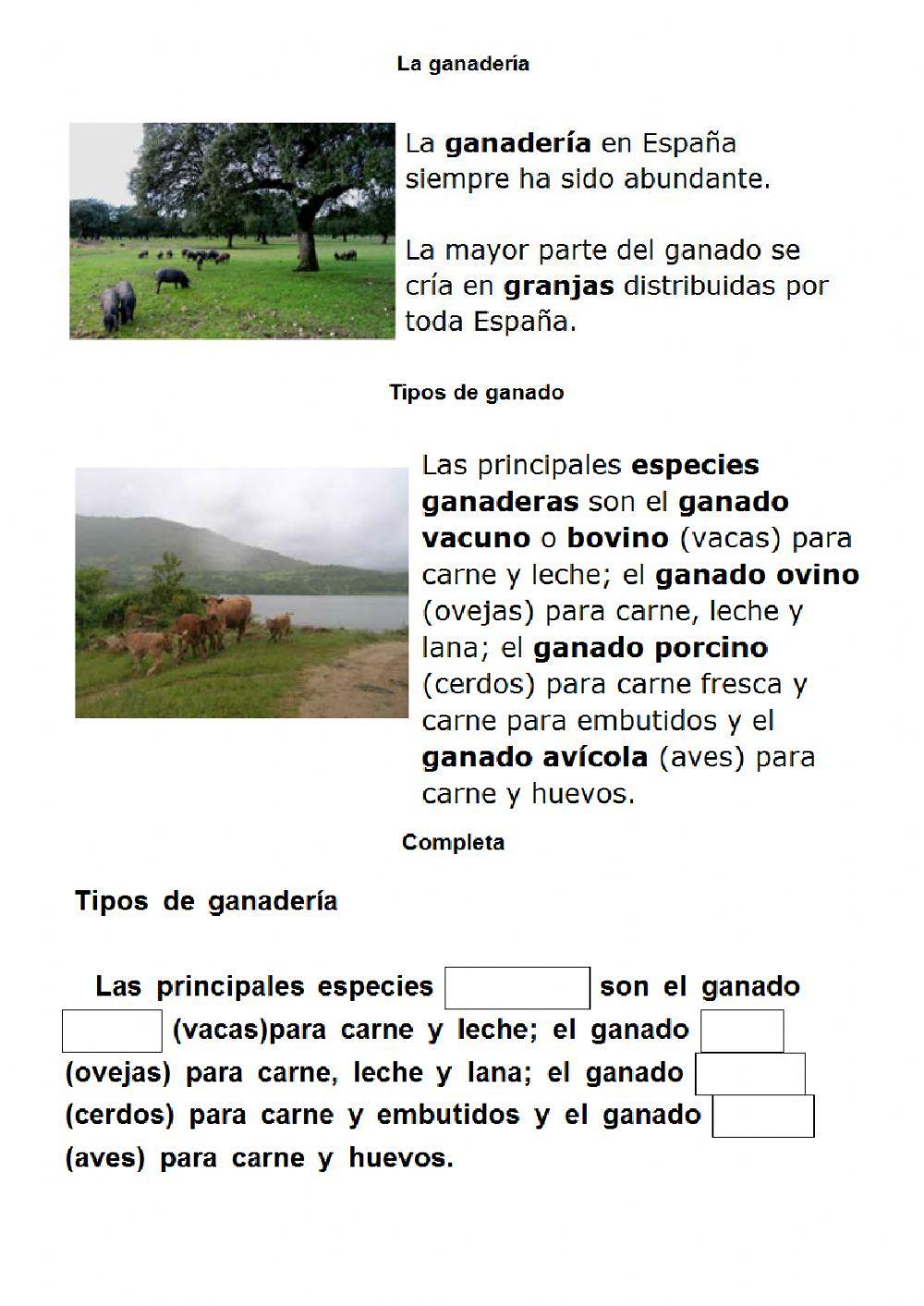 Agricultura y ganadería