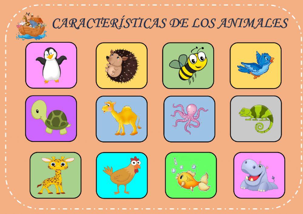 Características Animales