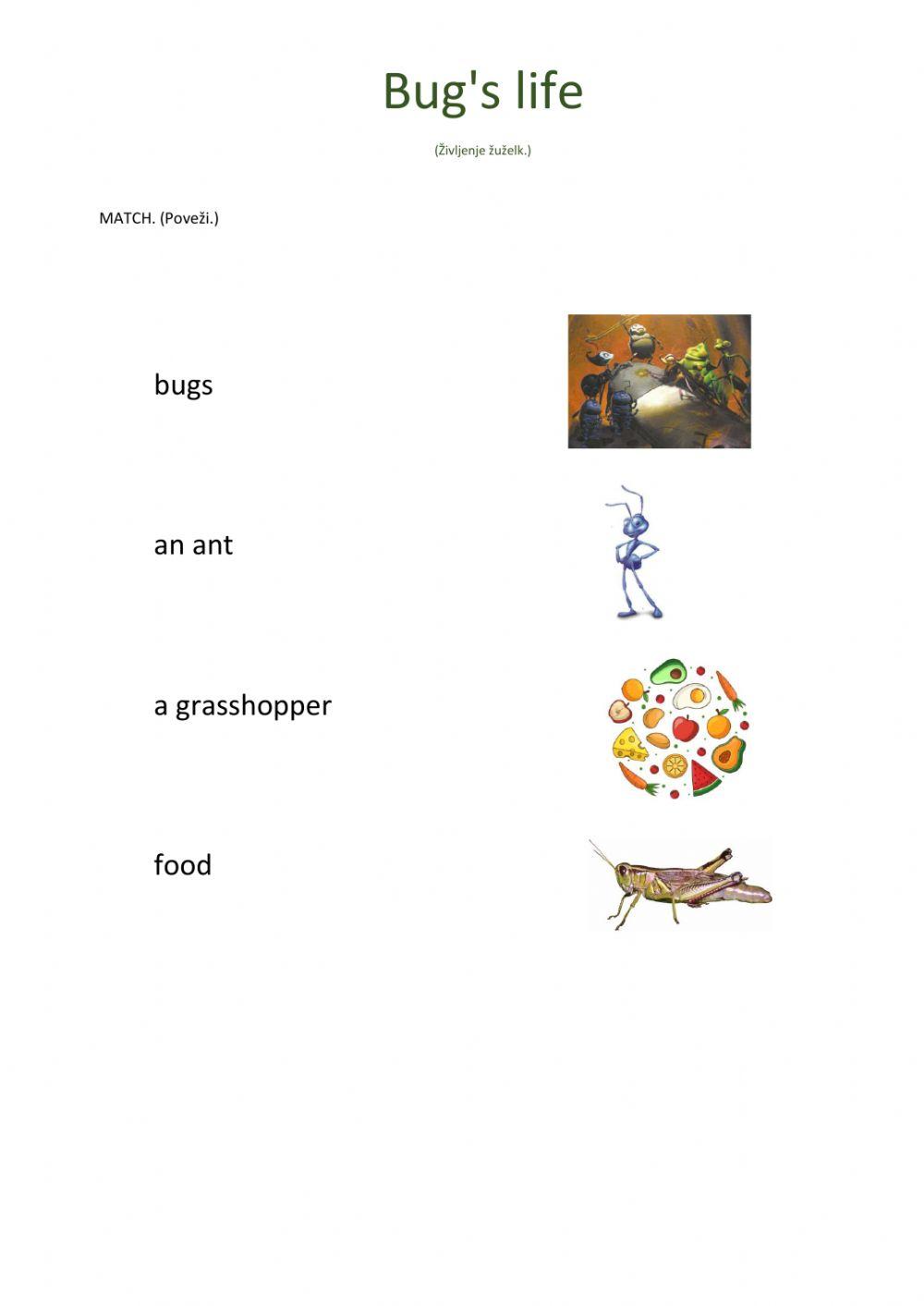 a-bug-s-life-worksheet-live-worksheets