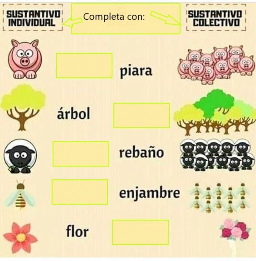 Sustantivos individuales y colectivos
