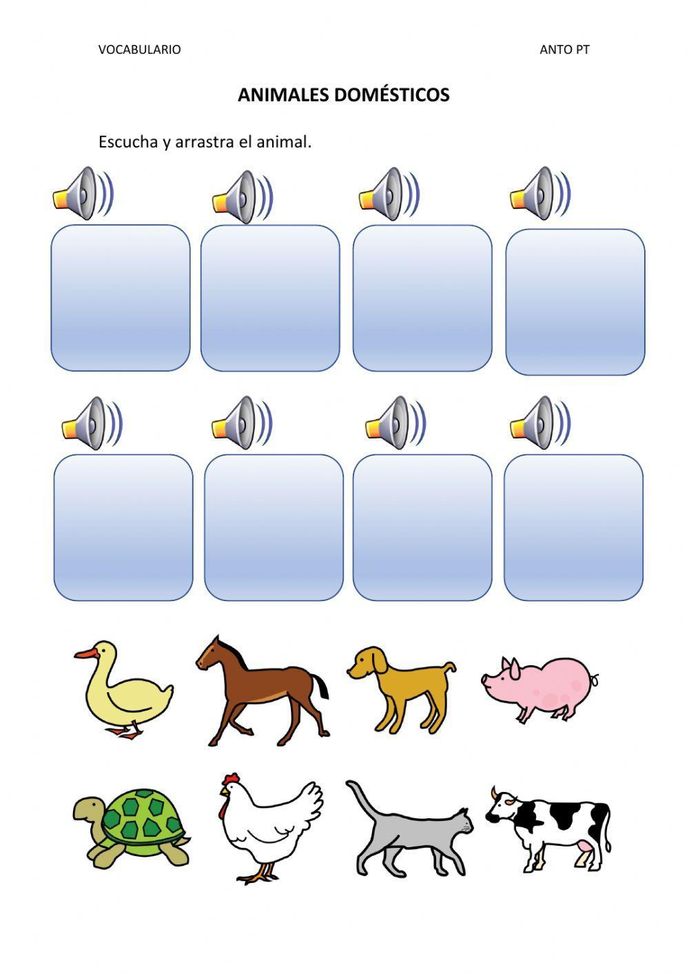 Animales domésticos Animales domésticos
