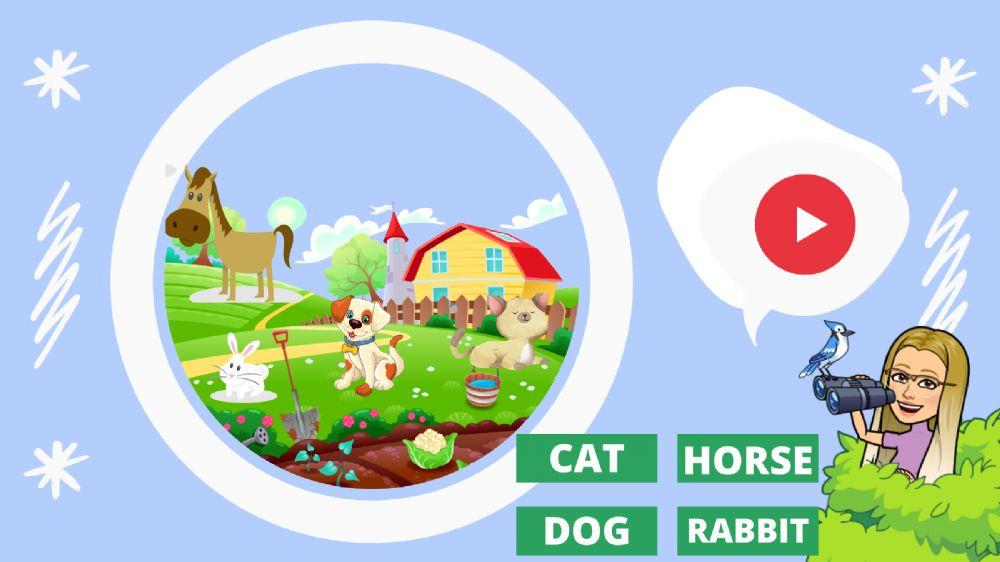 Farm animals (5 years)