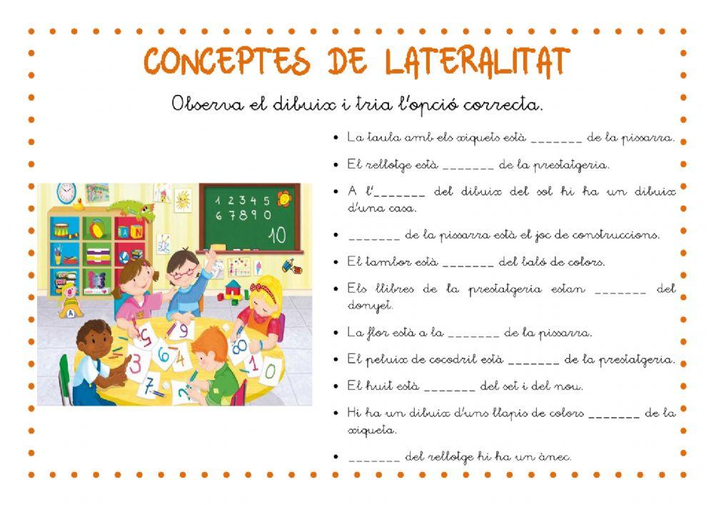 Conceptes de lateralitat