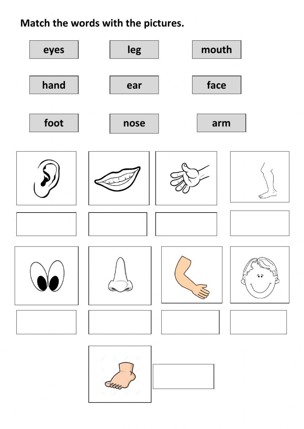 Parts of the body interactive activity for elmental | Live Worksheets