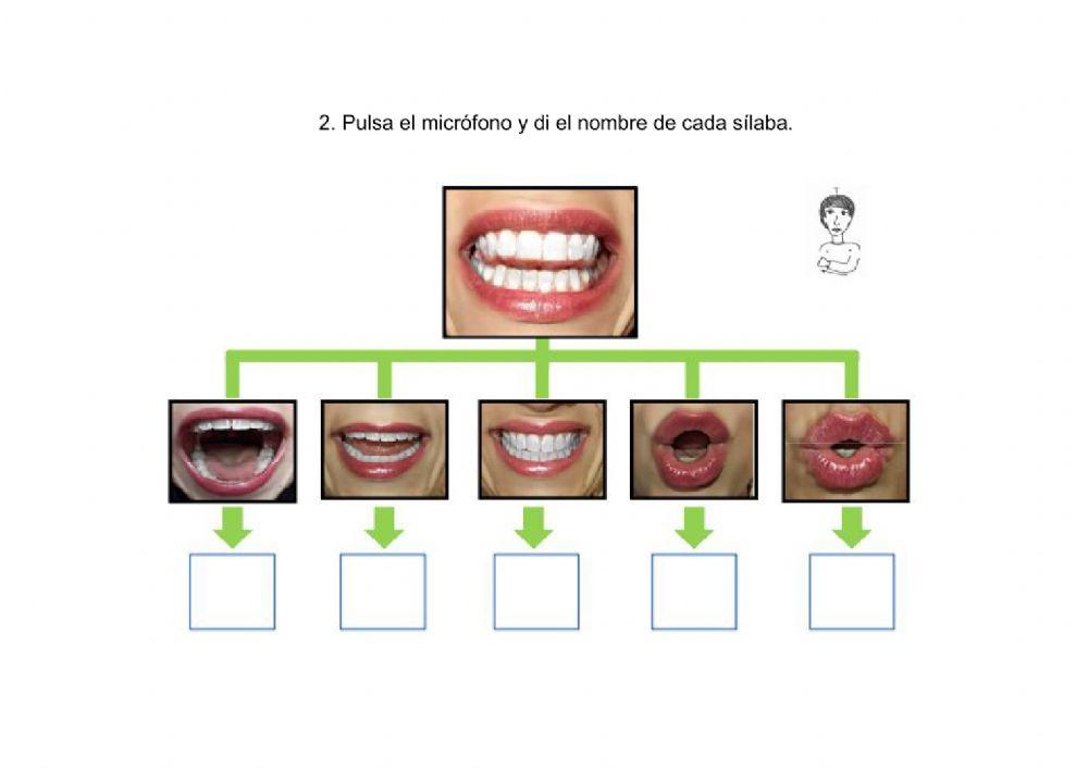 Introducción fonema T