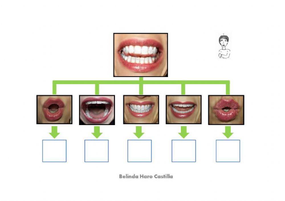 Introducción fonema T