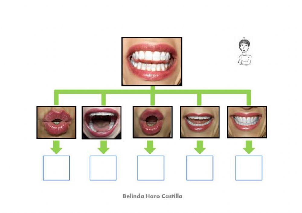 Introducción fonema T