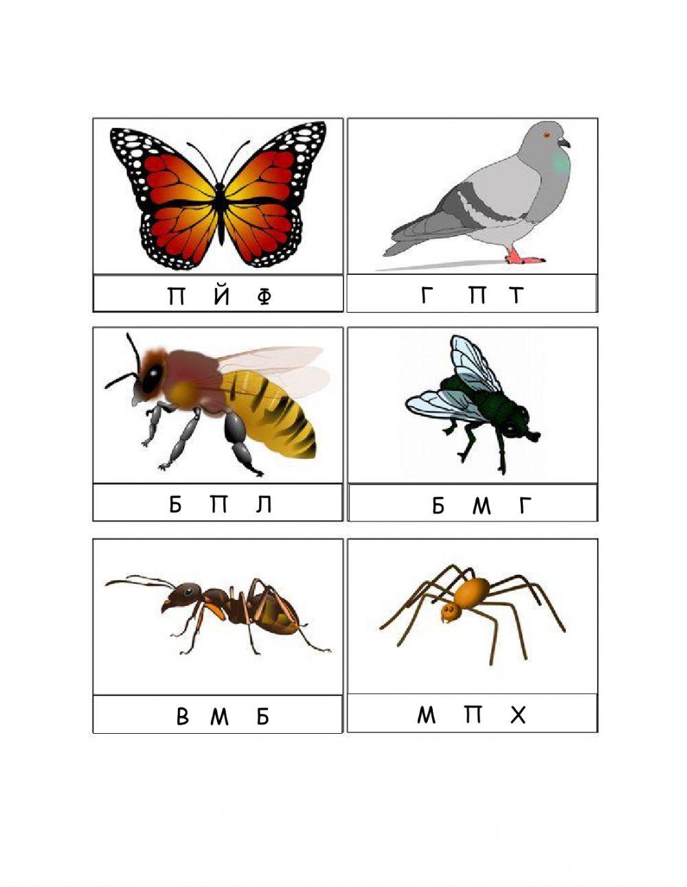 Уча буквите