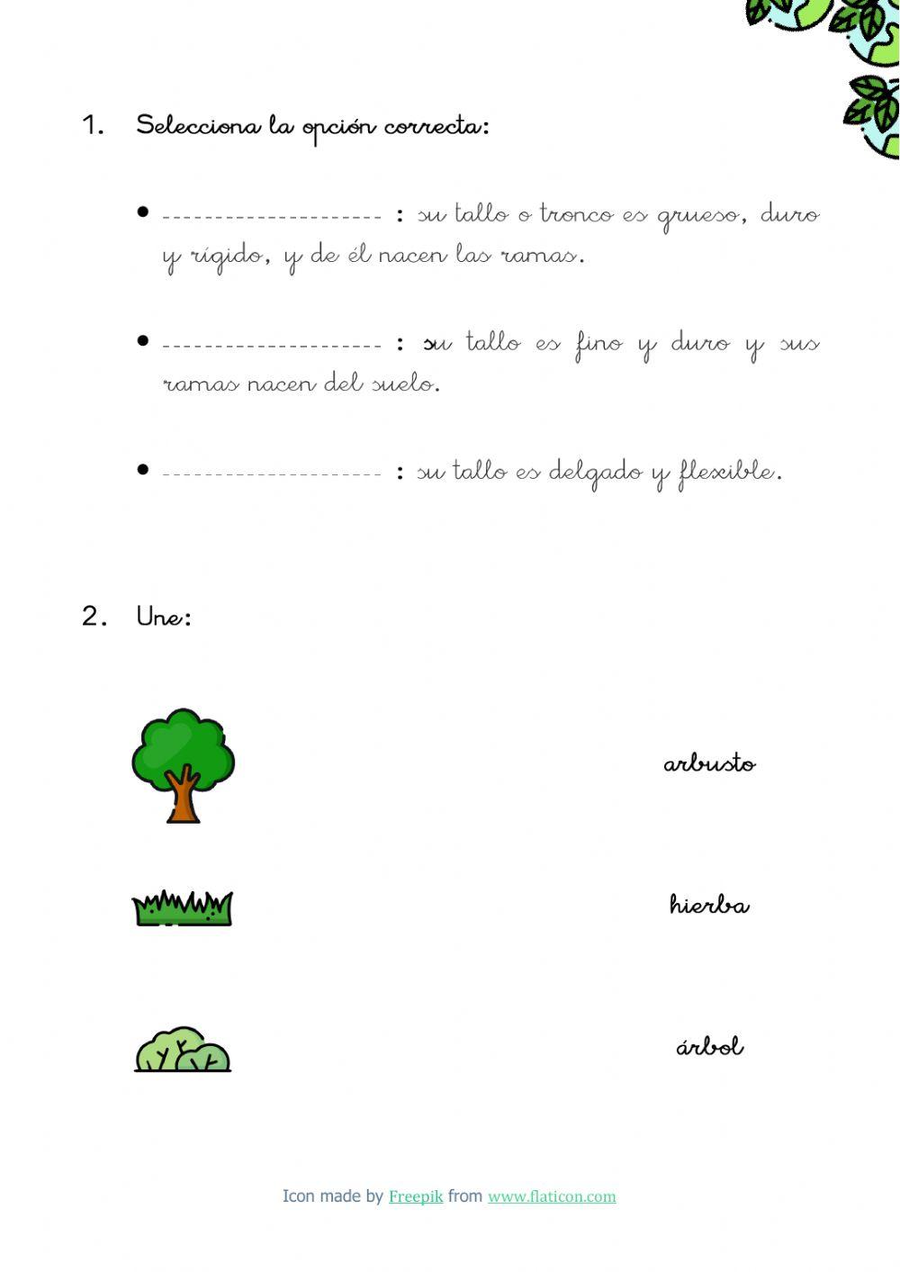 Plantas según su tallo