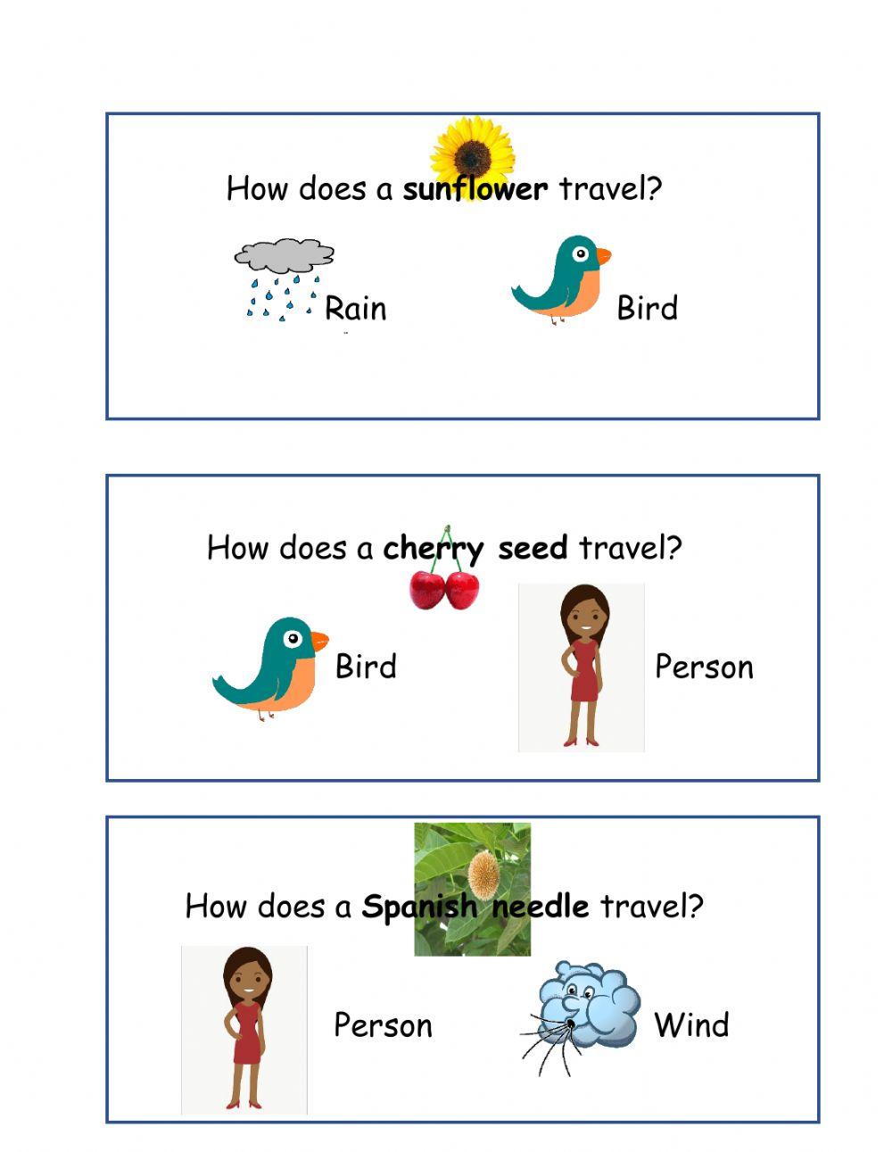 seed dispersal online exercise for Live Worksheets