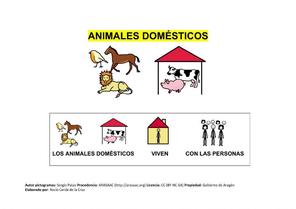 Animales domésticos y salvajes