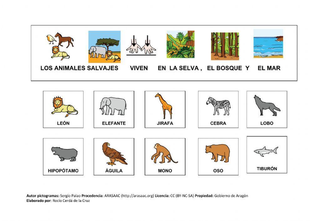 Animales domésticos y salvajes