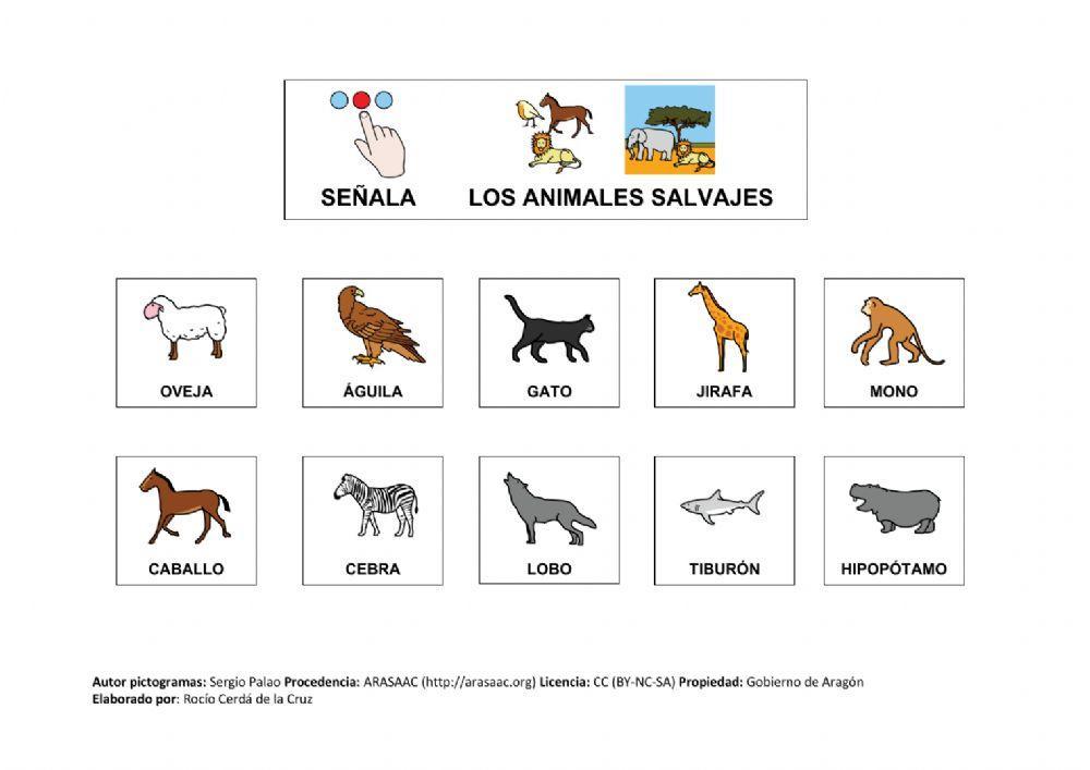 Animales domésticos y salvajes