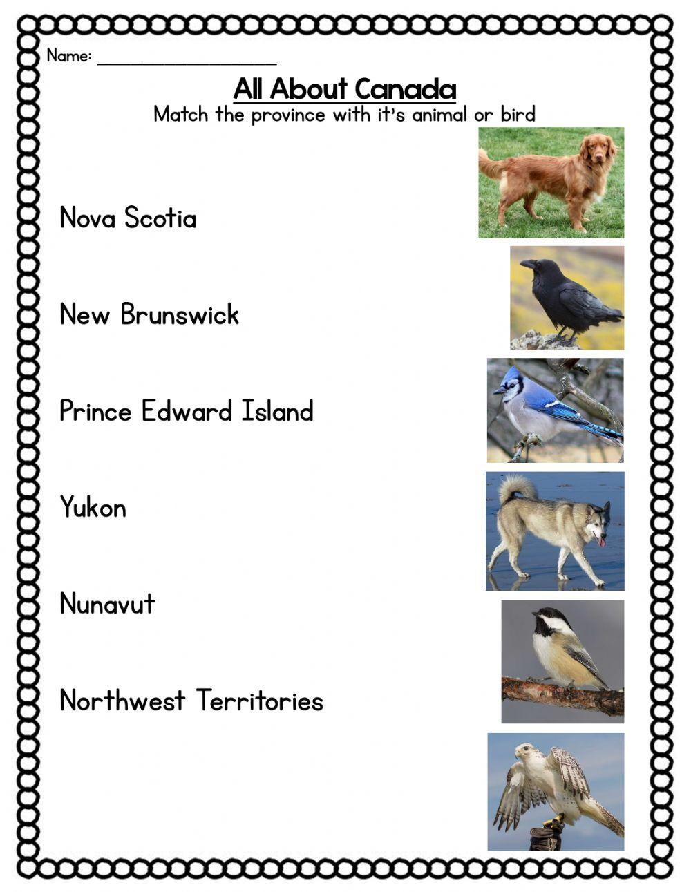 Provinces & Animals 2
