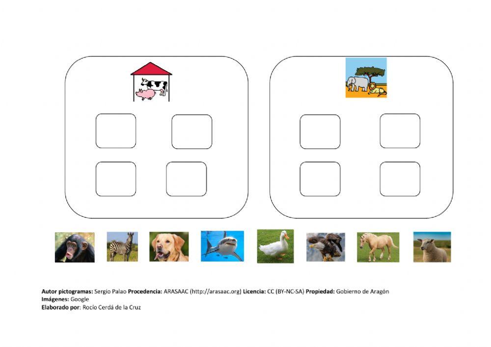 Animales domésticos y salvajes