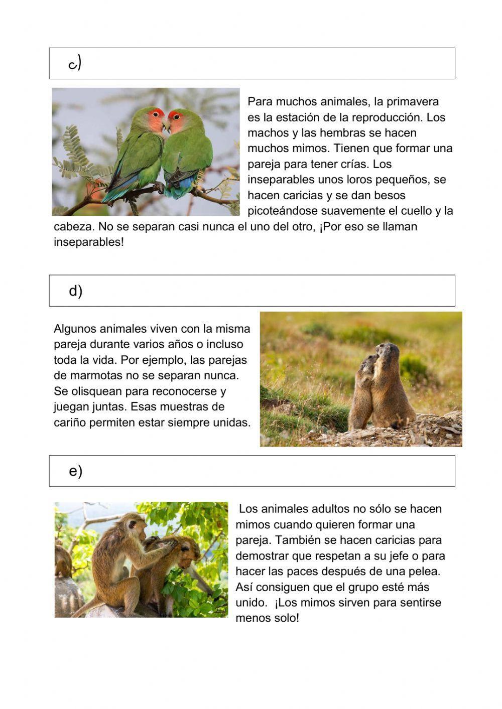 Mimos de animales Mimos de animales