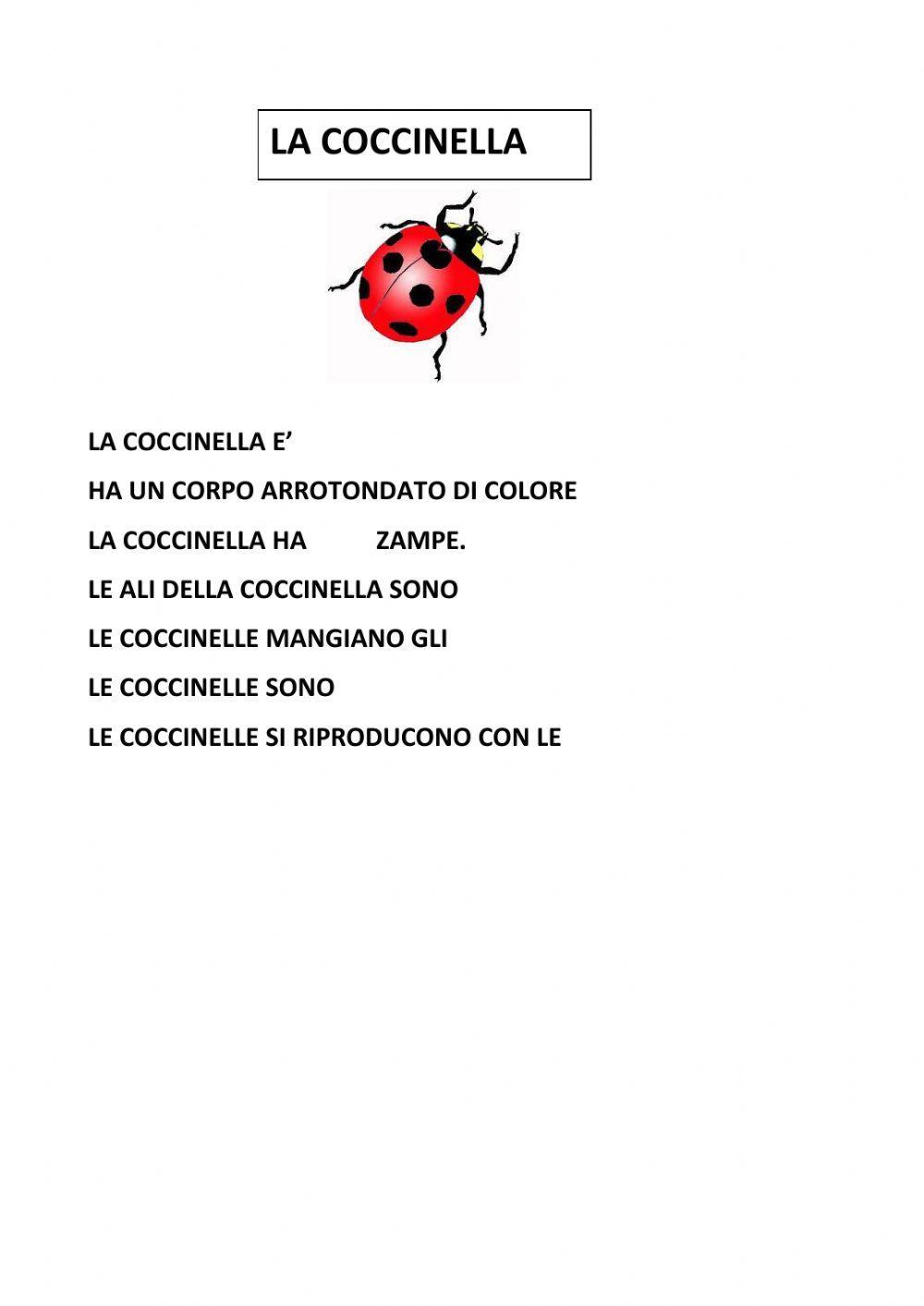 La coccinella