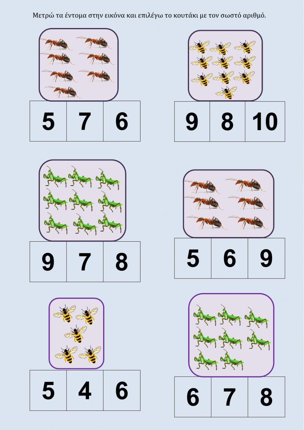 Εντομα αριθμοι 5-10