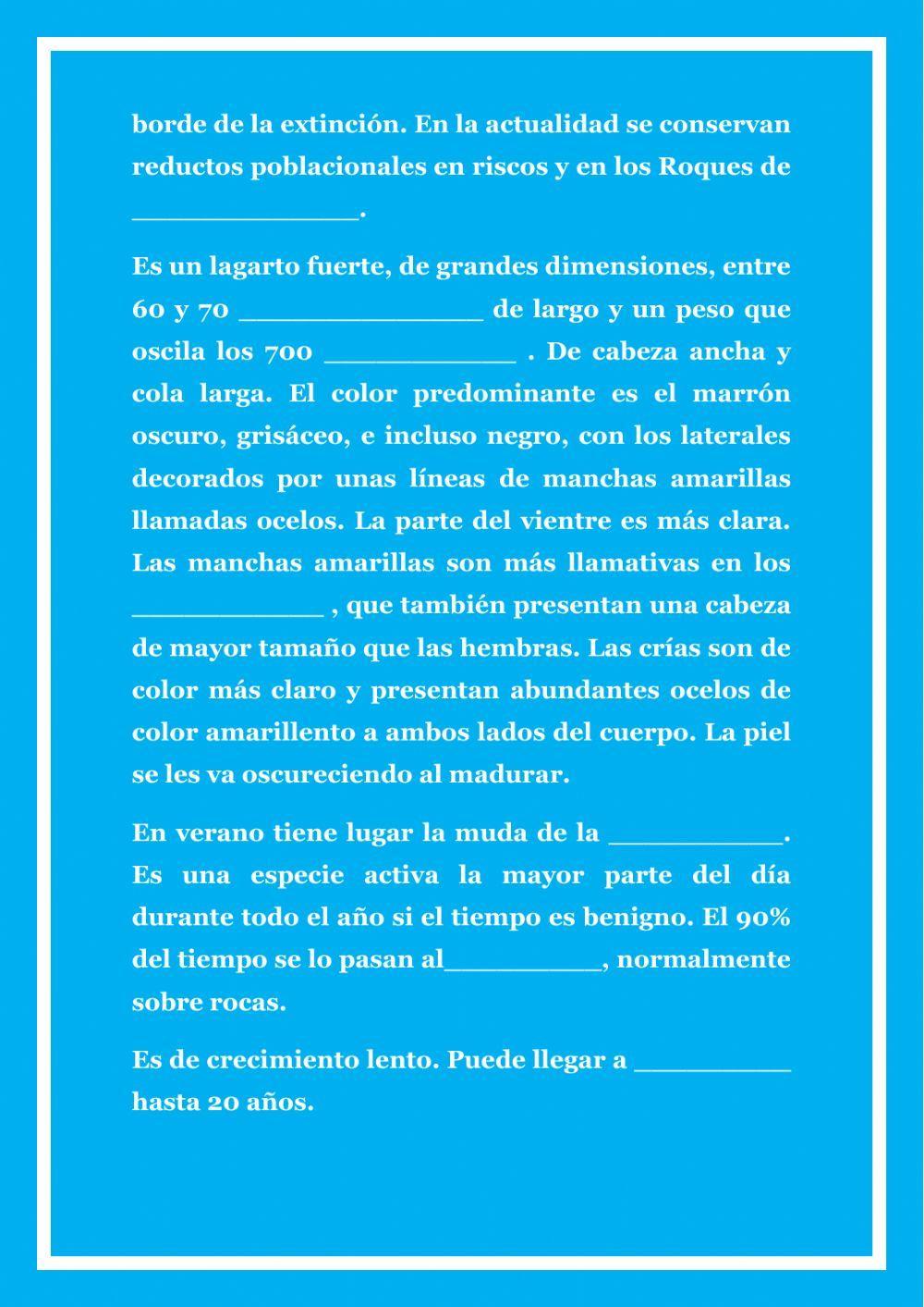 El lagarto gigante de El Hierro (Canarias)