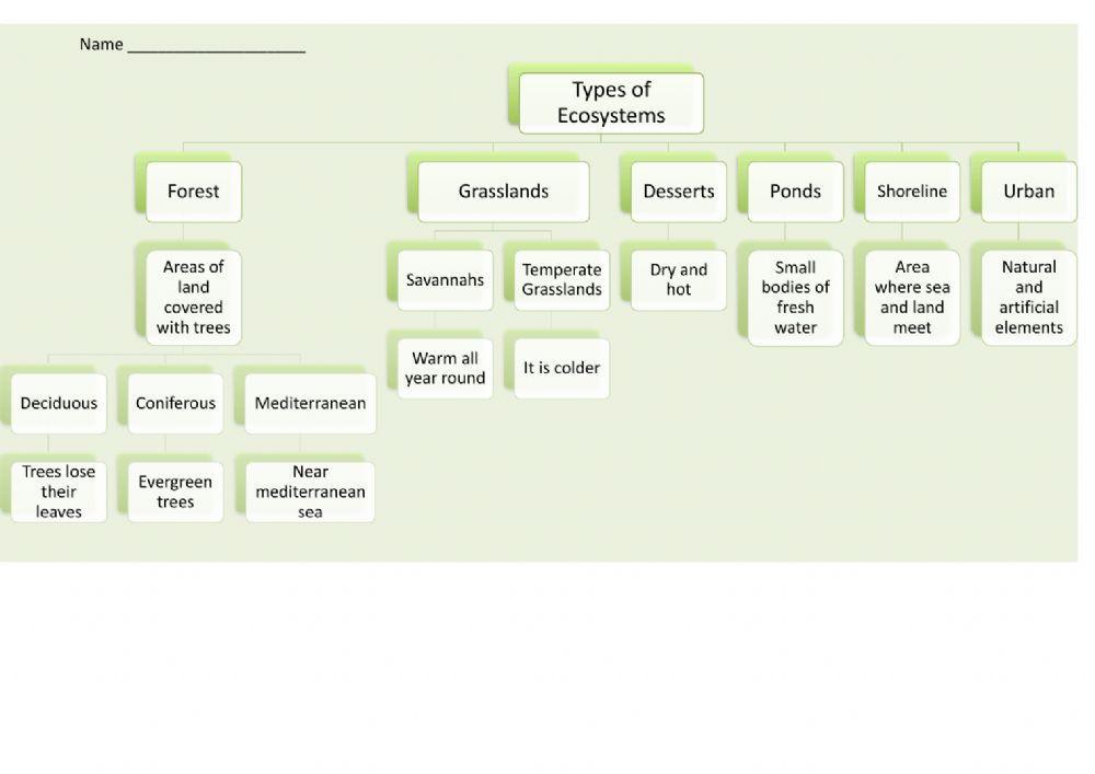 Unit 3 Types of Ecosystems Scheme