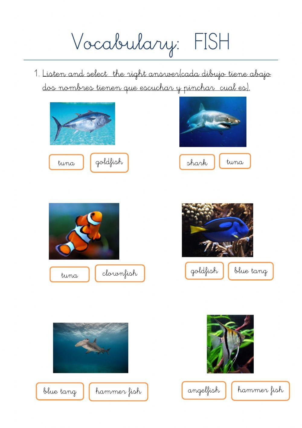 Vocabulary fish