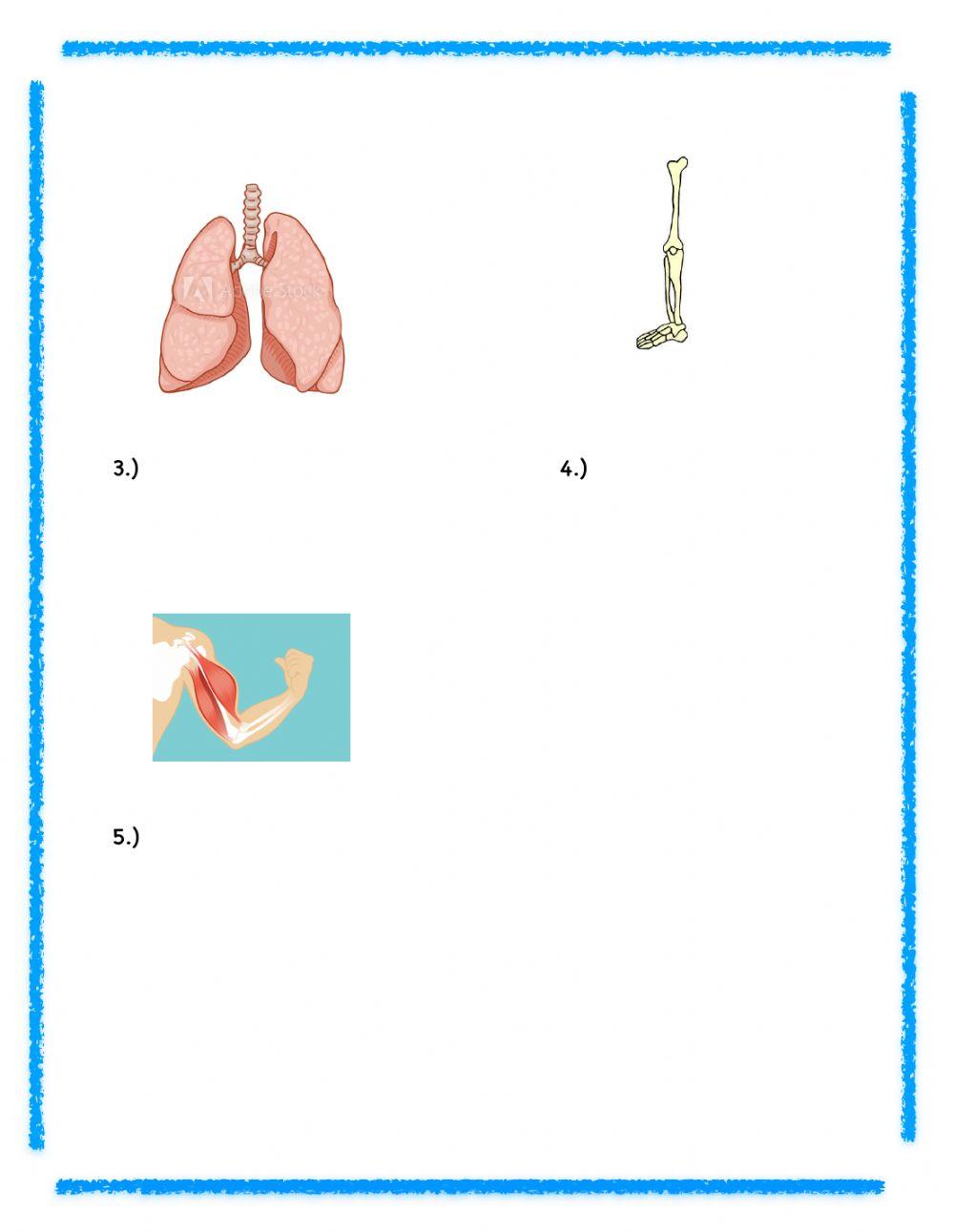 3rd Grade Science Review