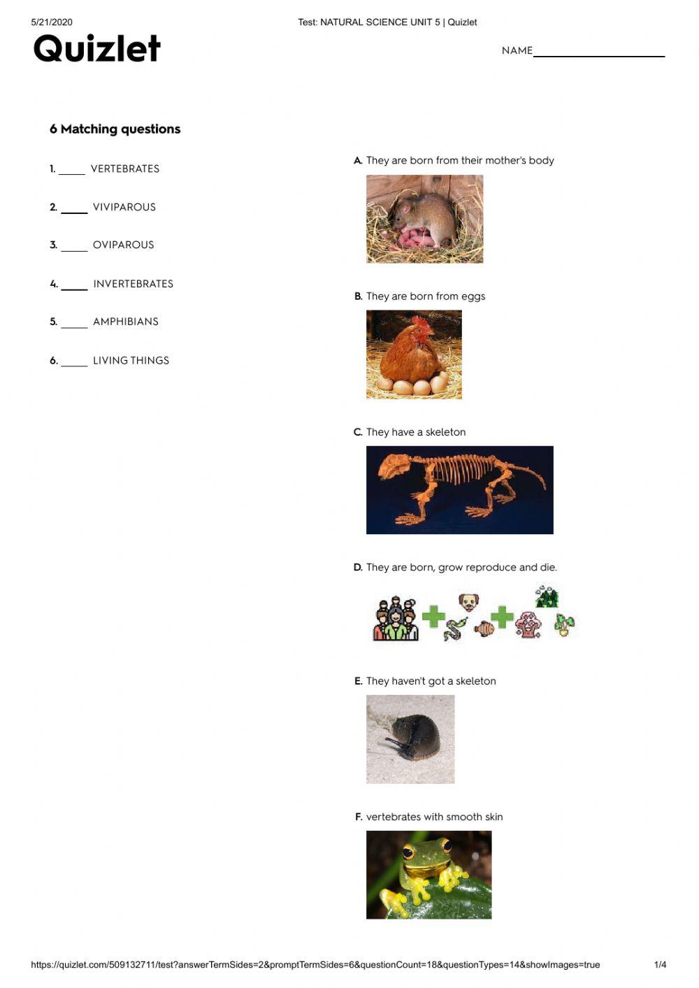 Unit 5. Animals practice test