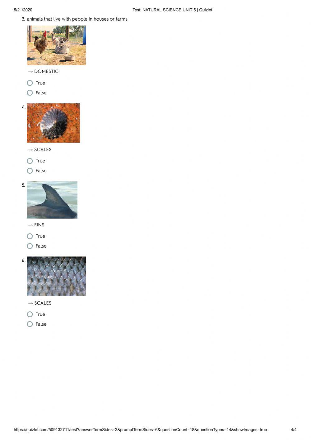 Unit 5. Animals practice test