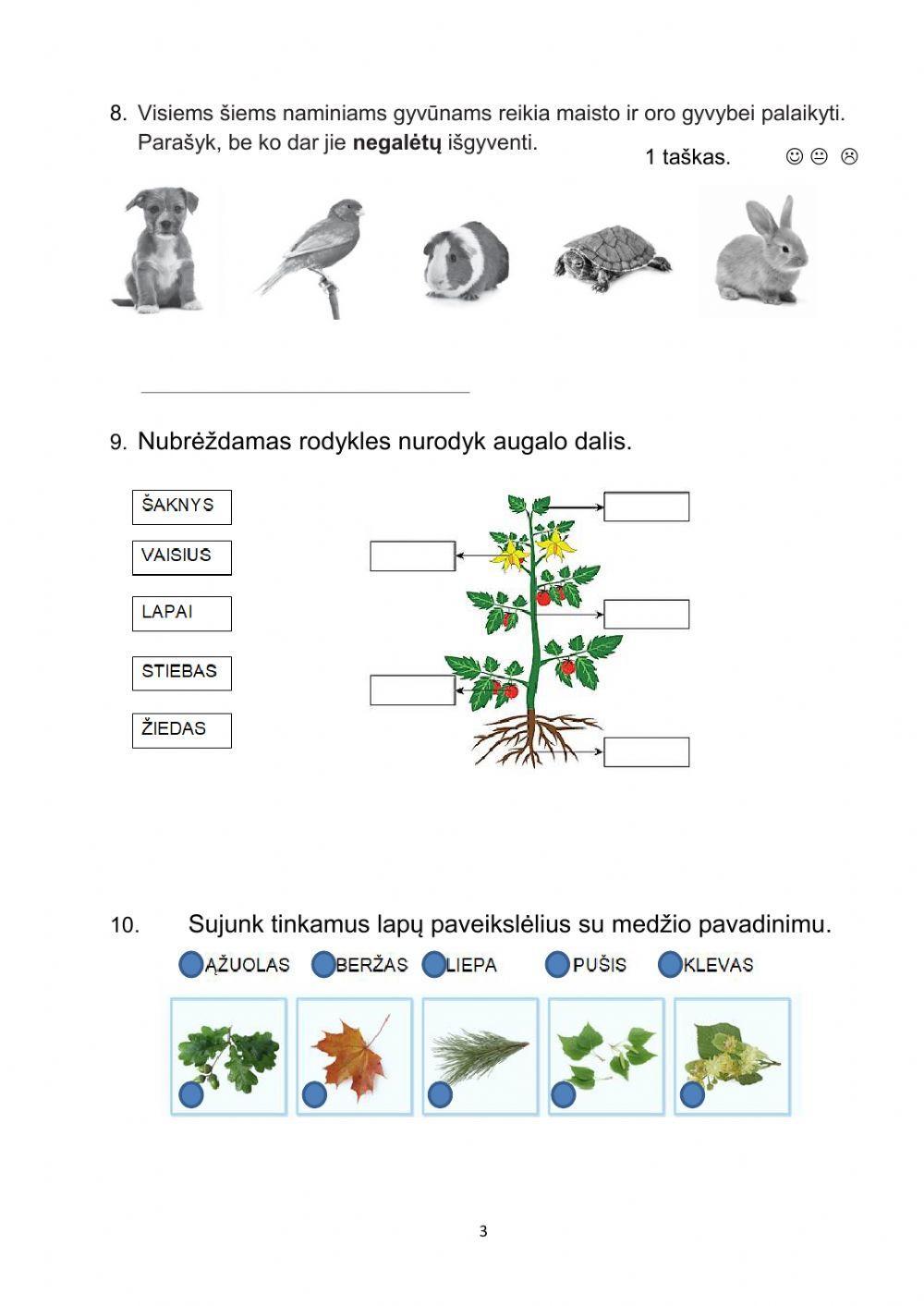 Pasaulio pažinimo testas