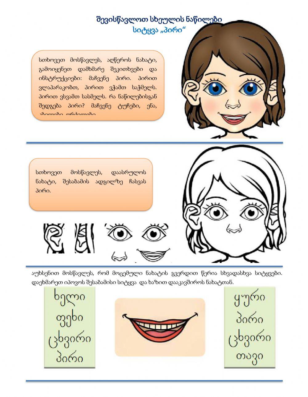 Შევისწავლოთ სხეულის ნაწილები, სიტყვა - პირი