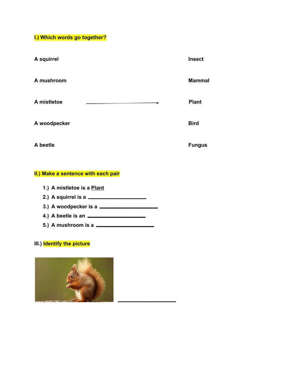 Arboreal animals and plants