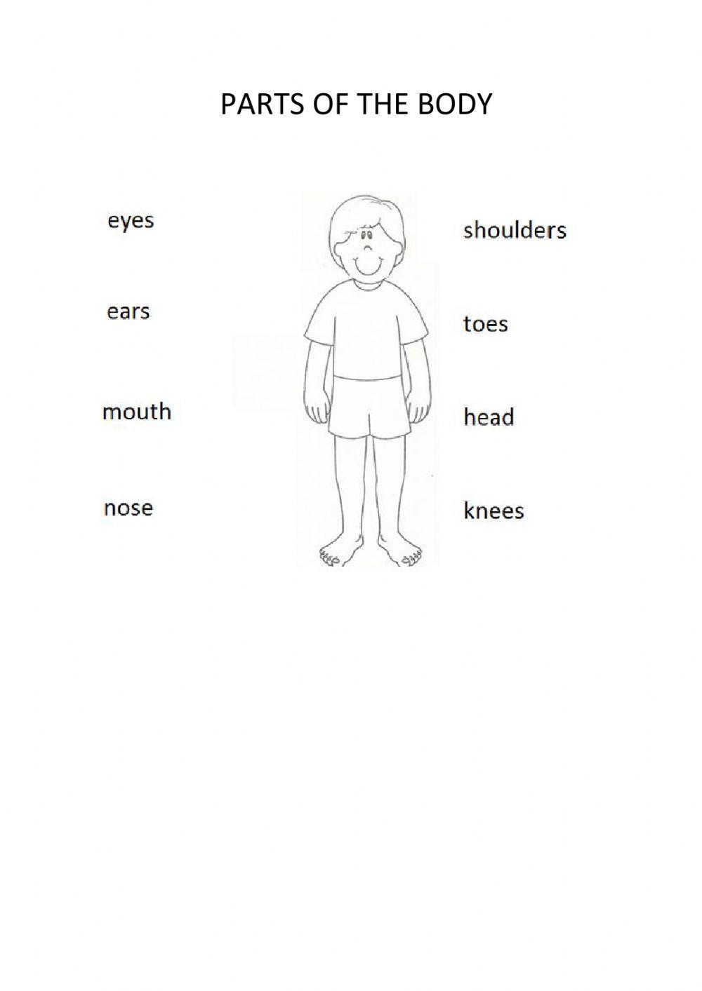 Parts of the body interactive activity for 2º básico | Live Worksheets