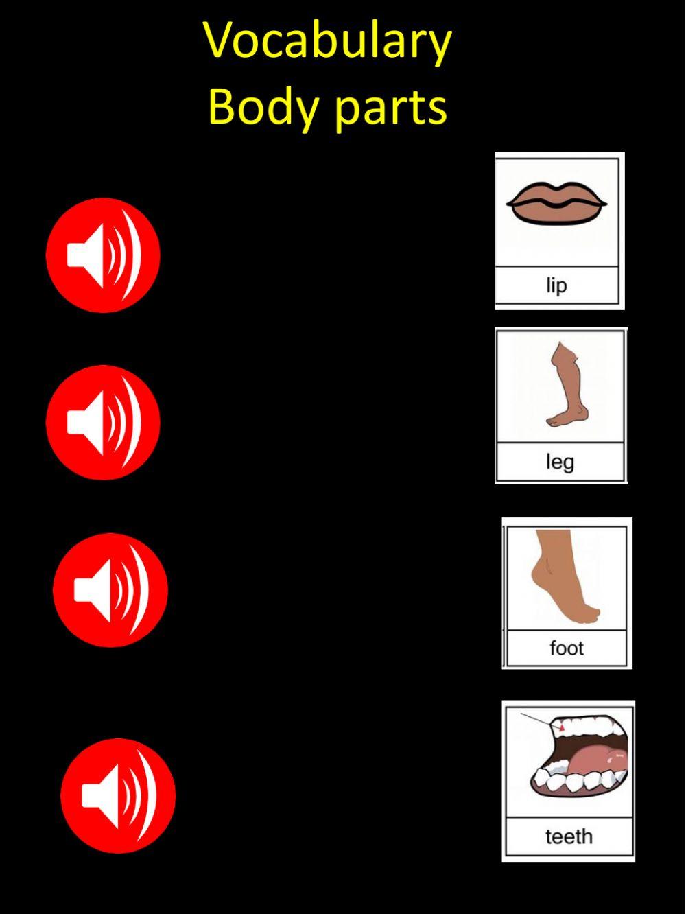 Vocabulary, Body parts