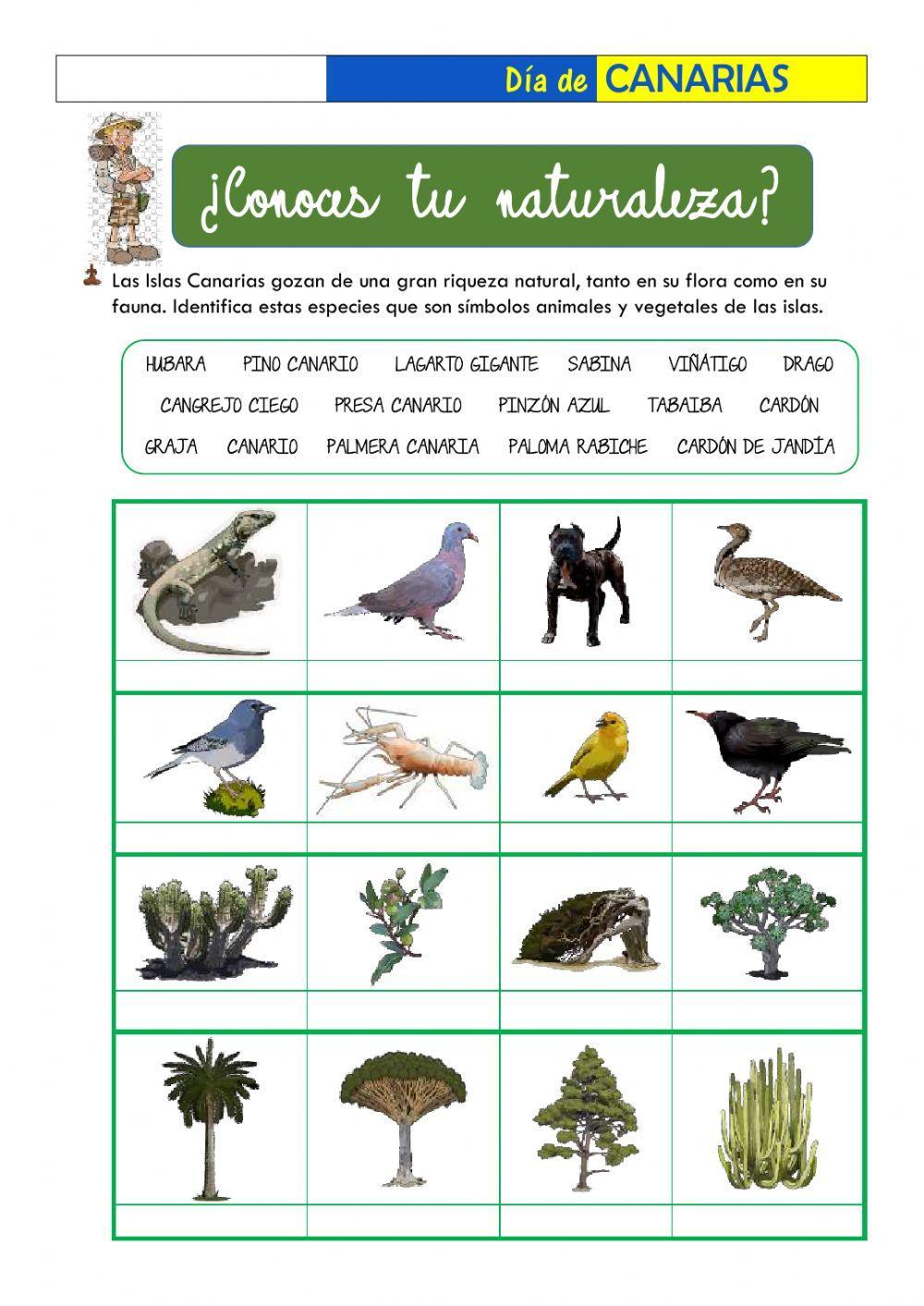 ¿Conoces tu naturaleza?