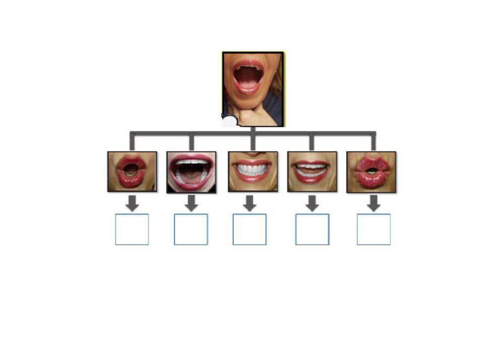 Articulación fonema G