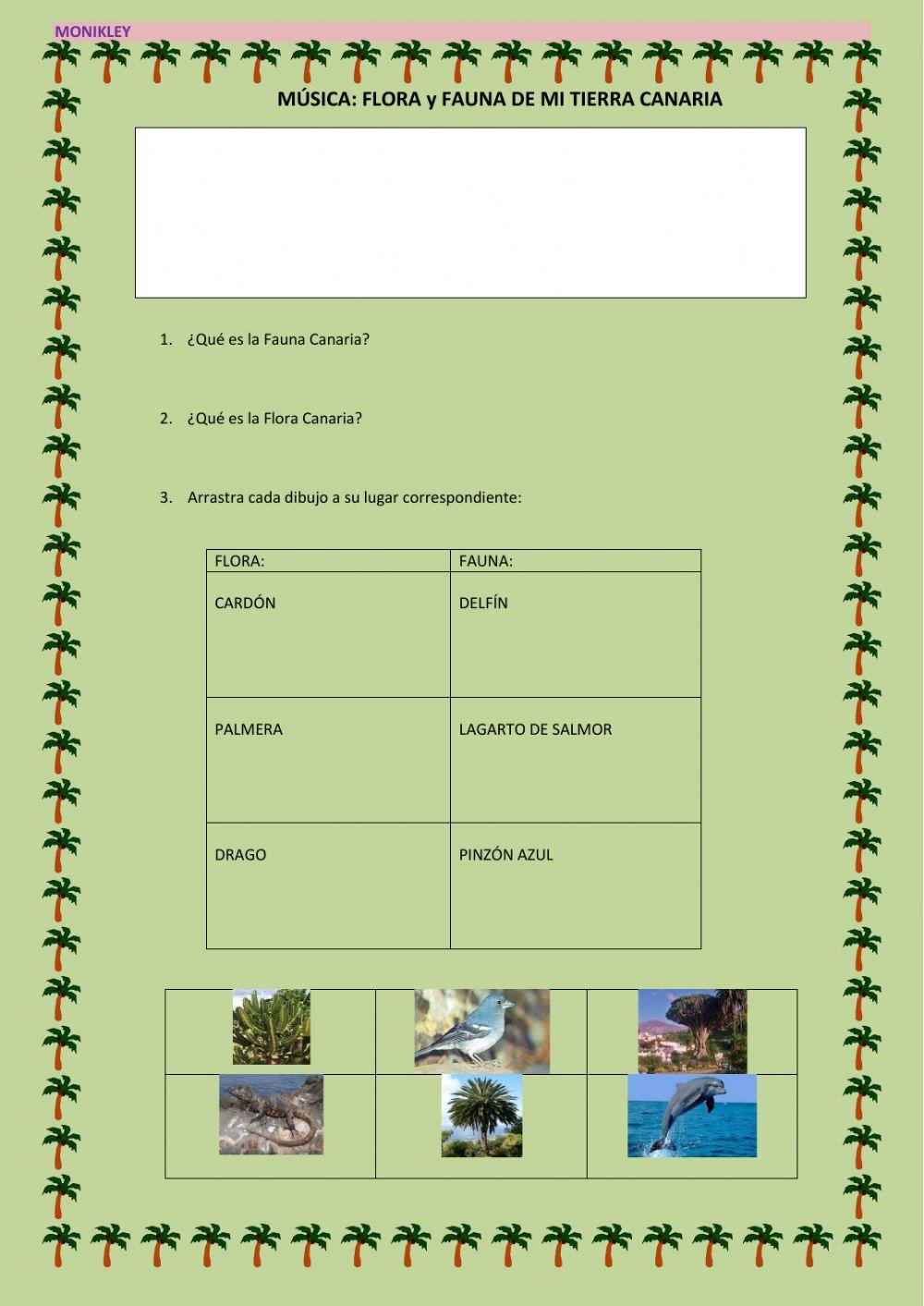 Música, flora y fauna de canarias Música, flora y fauna de canarias
